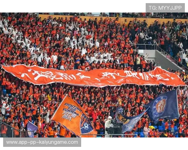 中超联赛俱乐部管理模式探索，中超各俱乐部所属公司